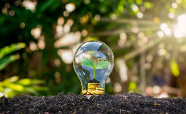 Verificadores Certificados de Ahorro Energético